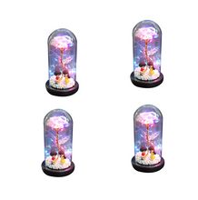 Load image into Gallery viewer, Led Light Glass Cover Rose Flower Micro Landscape
