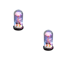 Load image into Gallery viewer, Led Light Glass Cover Rose Flower Micro Landscape
