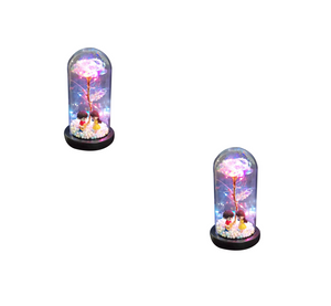 Led Light Glass Cover Rose Flower Micro Landscape