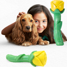 Load image into Gallery viewer, Dog Teether Pet Supplies
